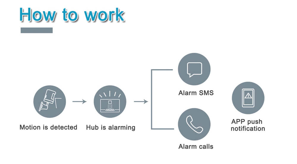 Wireless PIR Motion Detector Pete Immunity-P200-P5